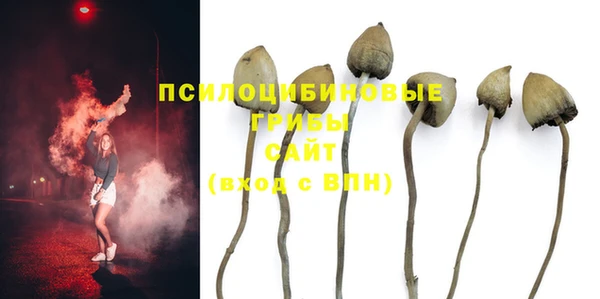 эйфоретик Бугульма