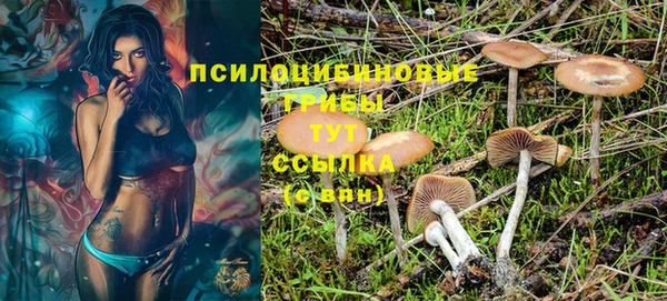 шишки Покровск